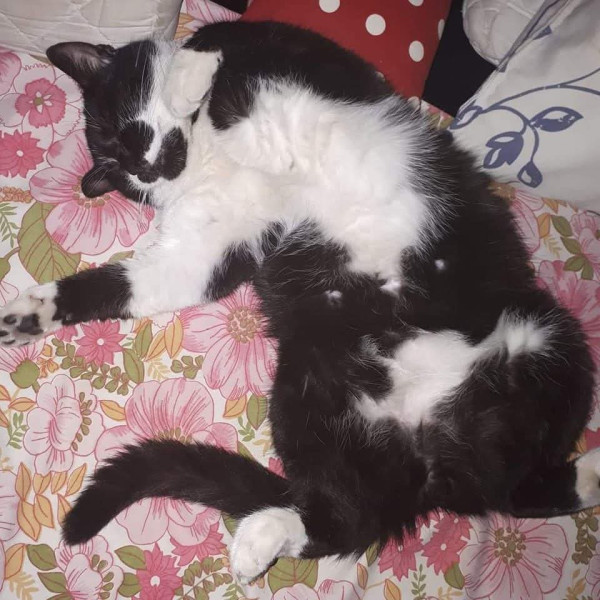 Charly