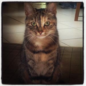 Lilou
