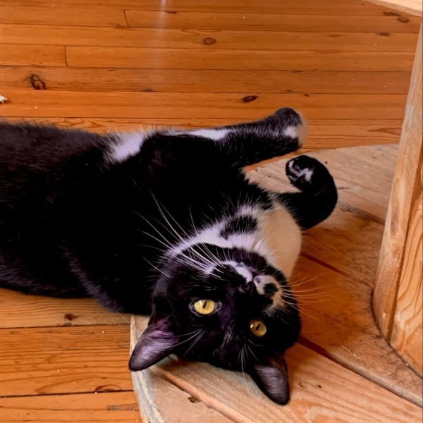 Jack