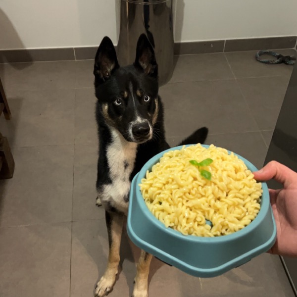 Saïko