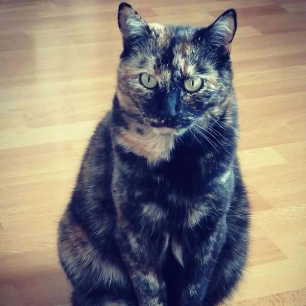 Zoé