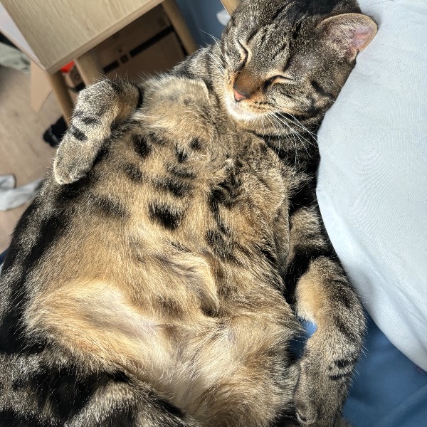 Yuka