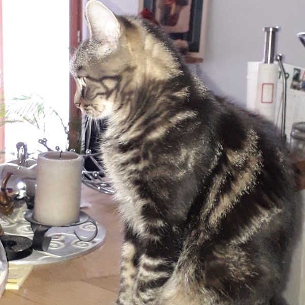 LISKA
