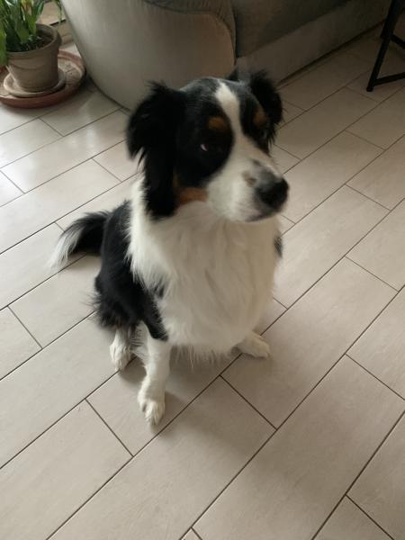 Floki