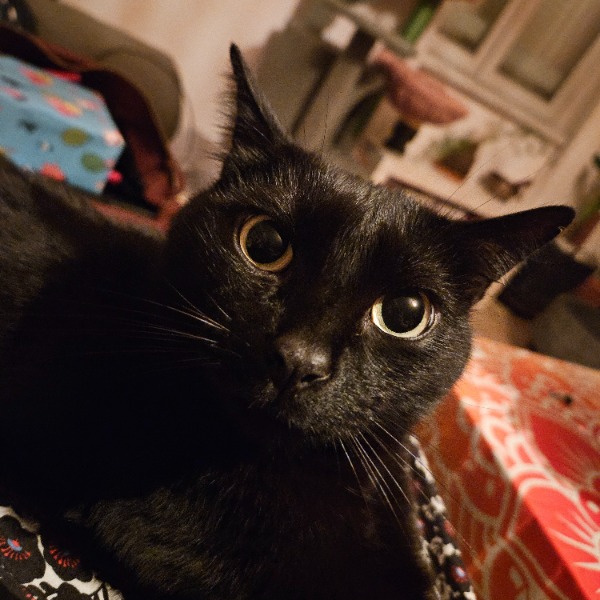Oz