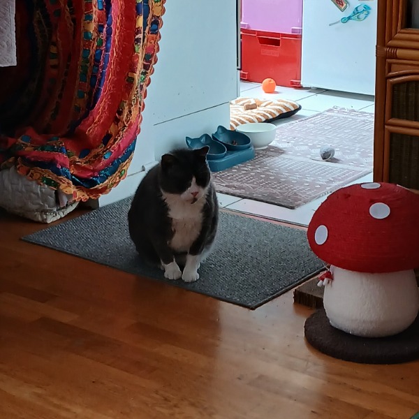 Charlie