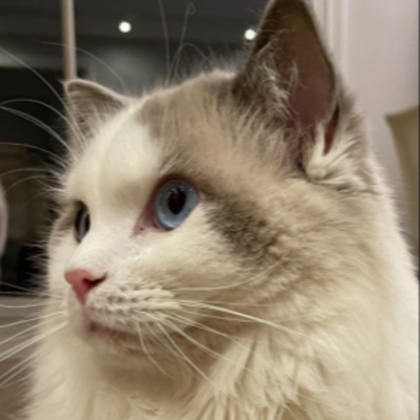Pixel