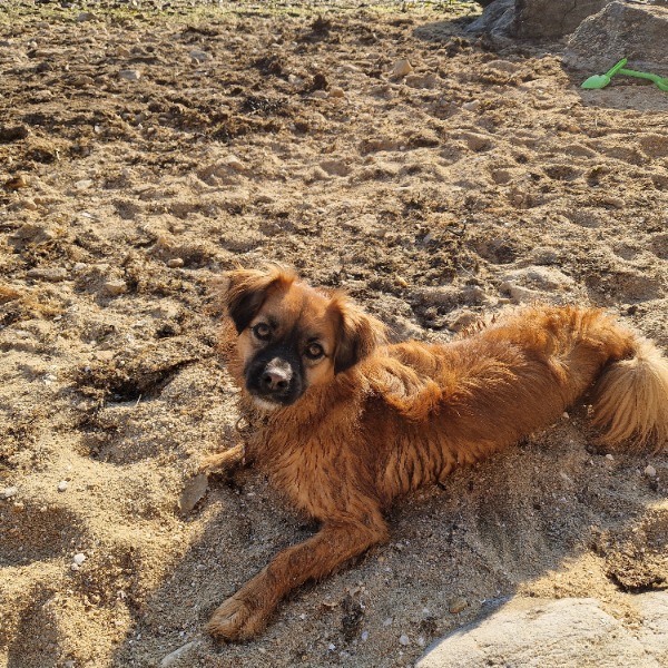 Yuki
