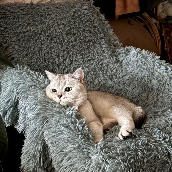 Mistinguette