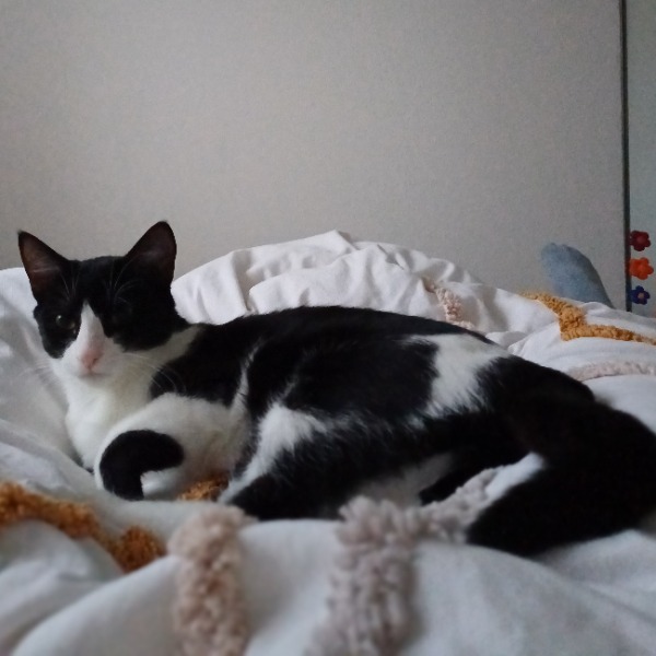 Diego