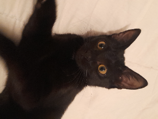 Yumi