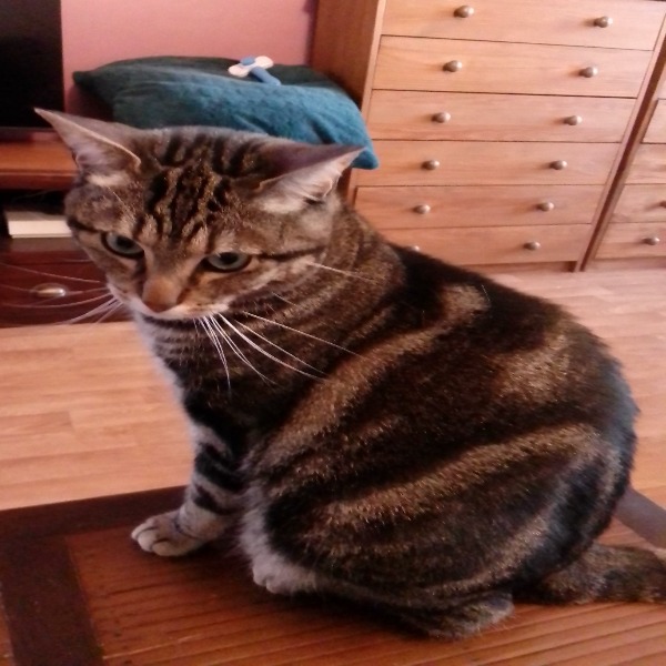 Lilou