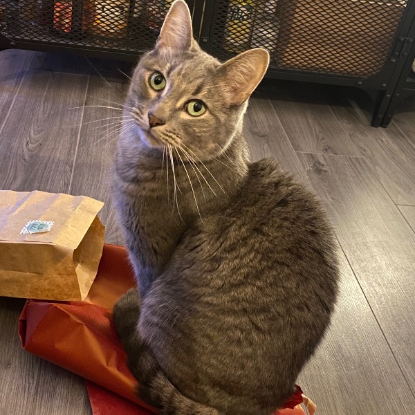 Korben