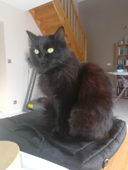 Kira