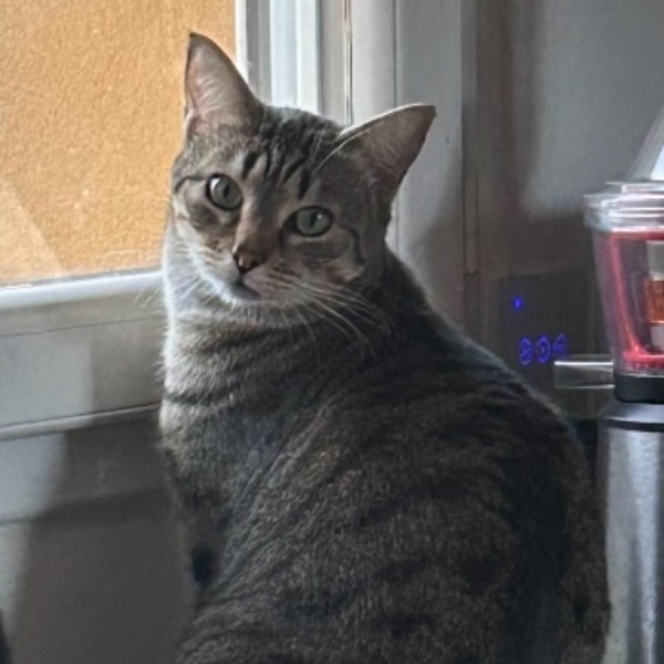 Yuki