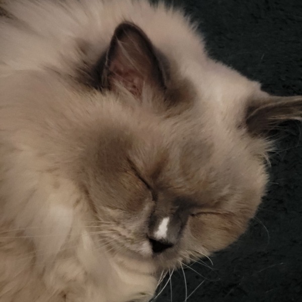 Charlie