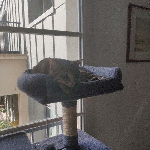 Luna