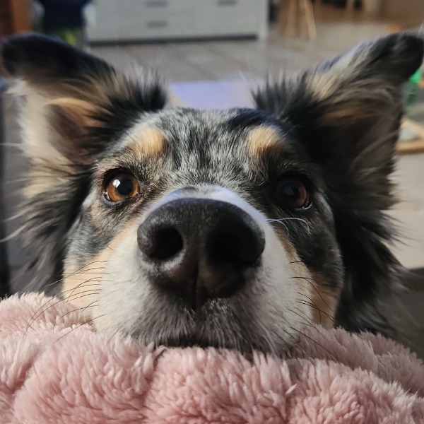 Riley
