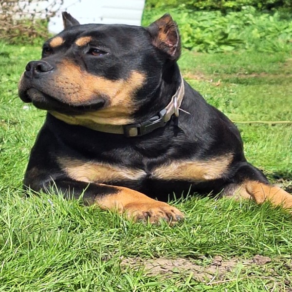 Ragnar