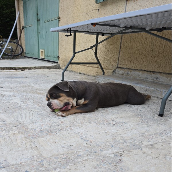 LUNA