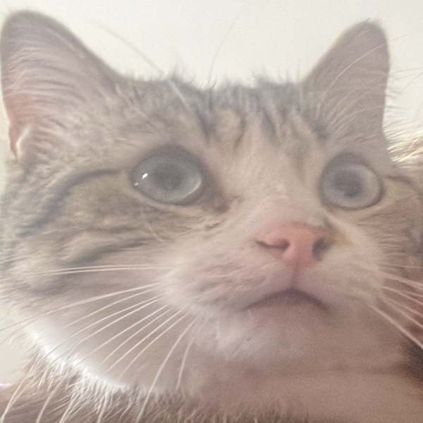 Edgar
