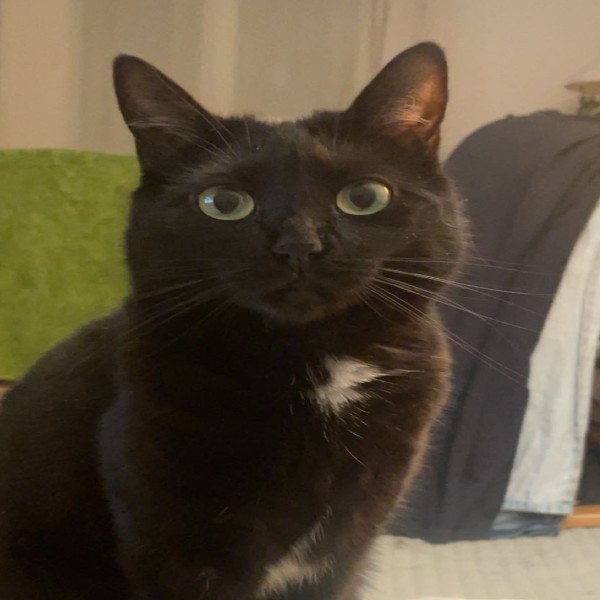 Telma