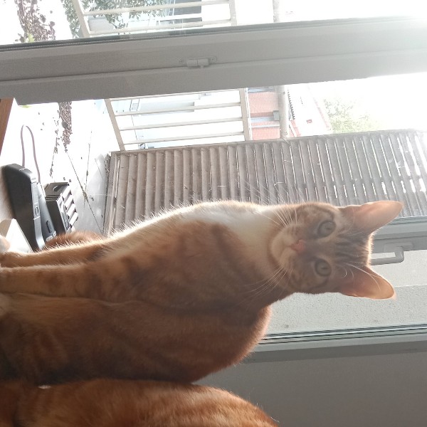 Winny