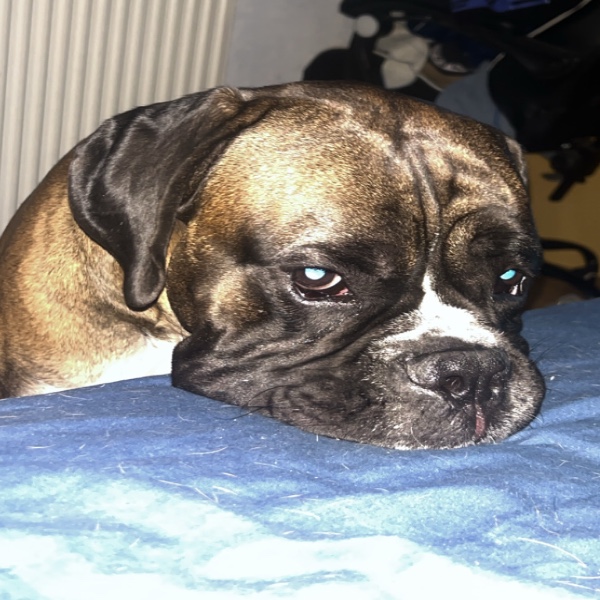 Vito