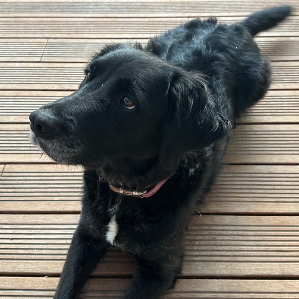 Coco