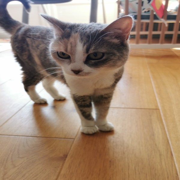 Lena