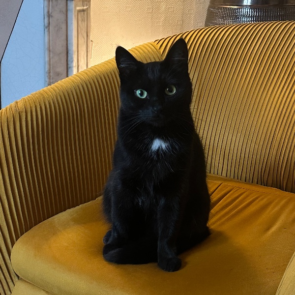 prishka