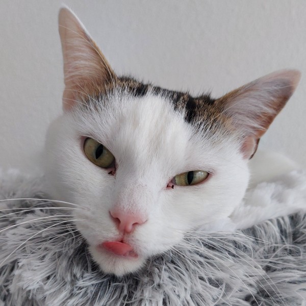 Pixel