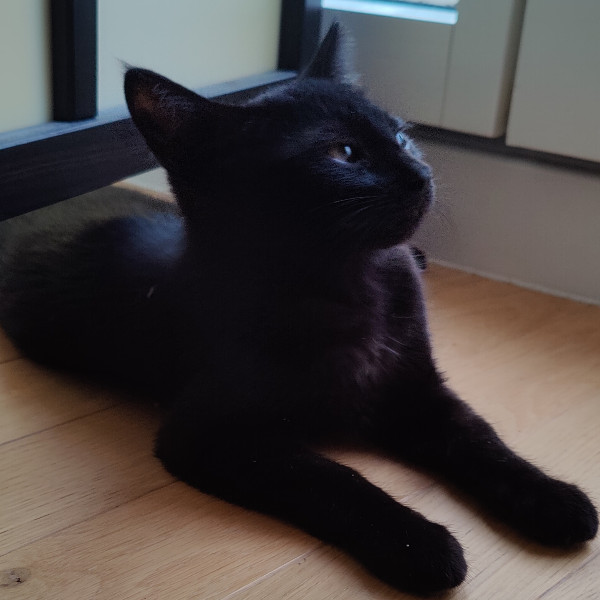 Lili