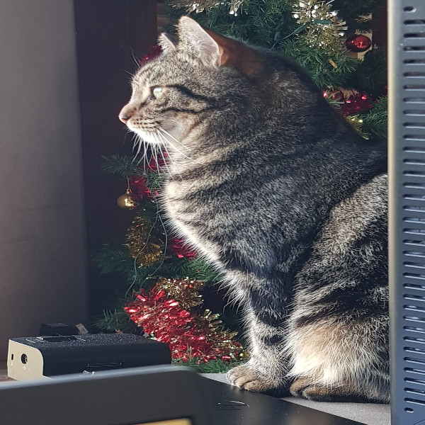 Rémus