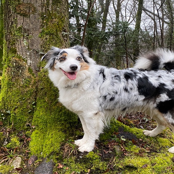 Sally