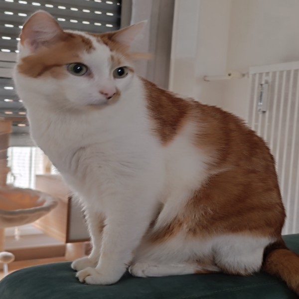 Kiki