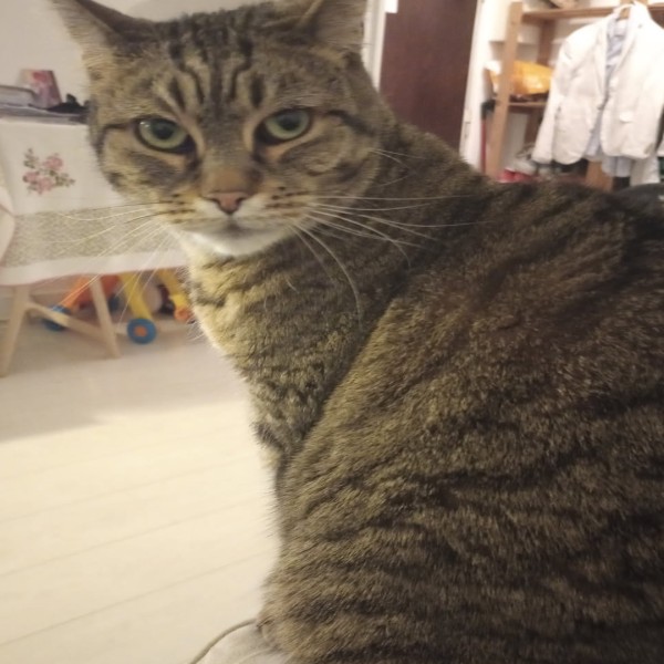 Natsou