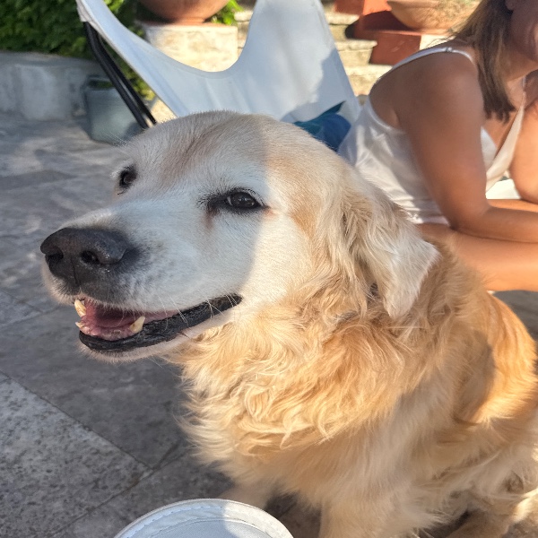 Max