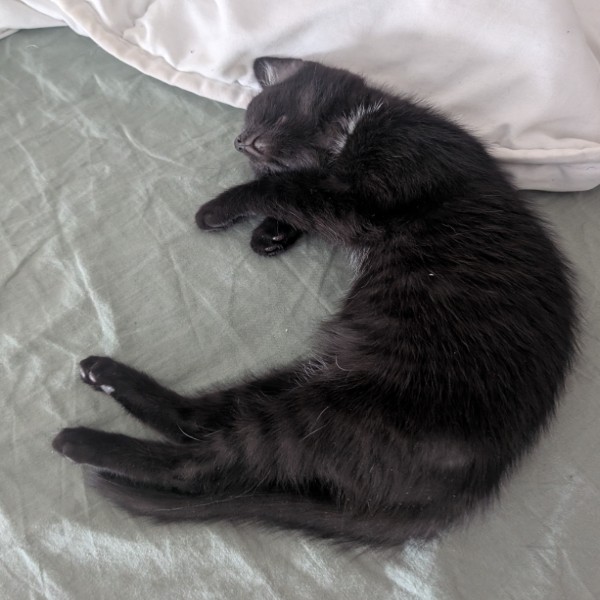 Nyx