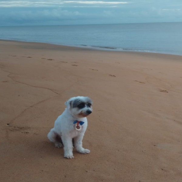 mylo