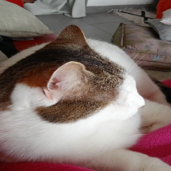 Ruby
