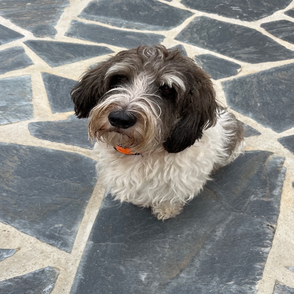 Ernest