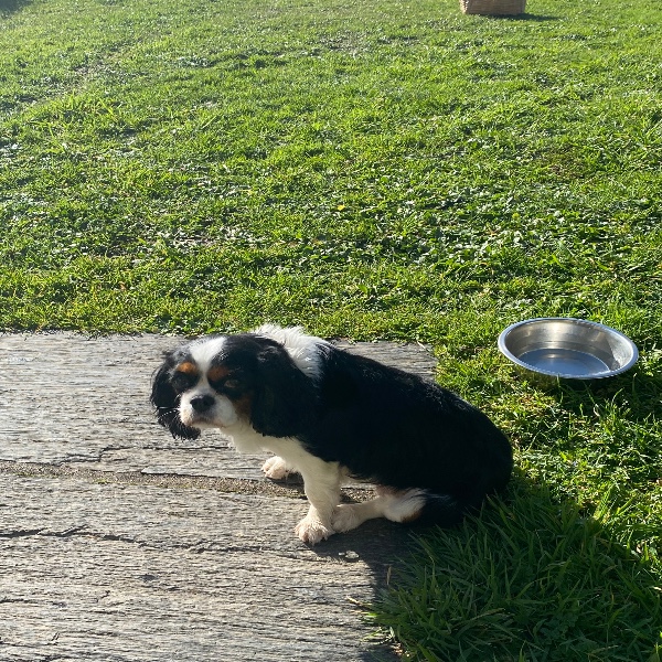 Yuki