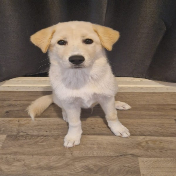 Marley