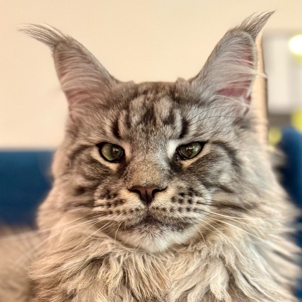 Jean pierre