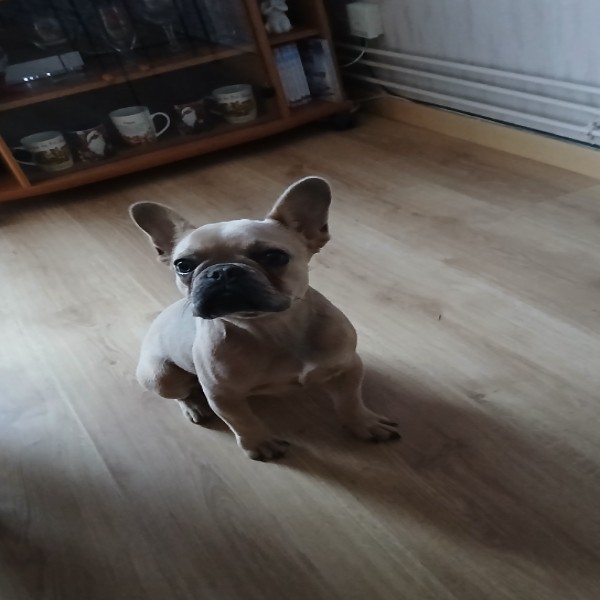 Lena