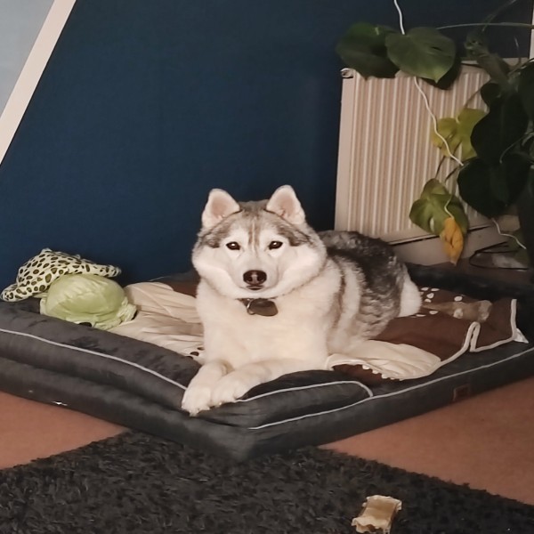 Nakïa
