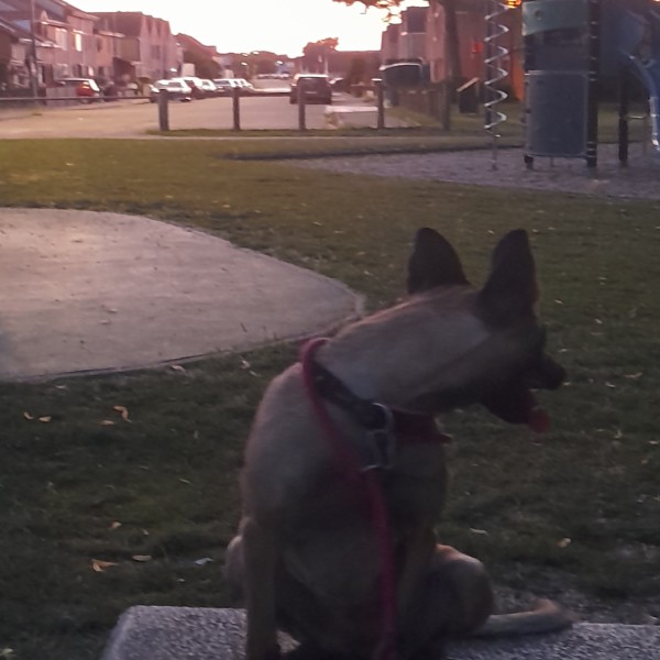 Ulka