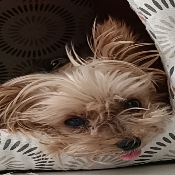 Leeloo