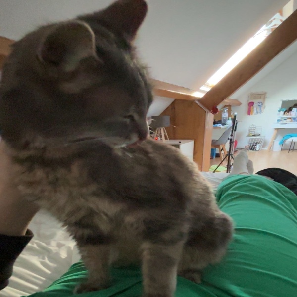 Miny